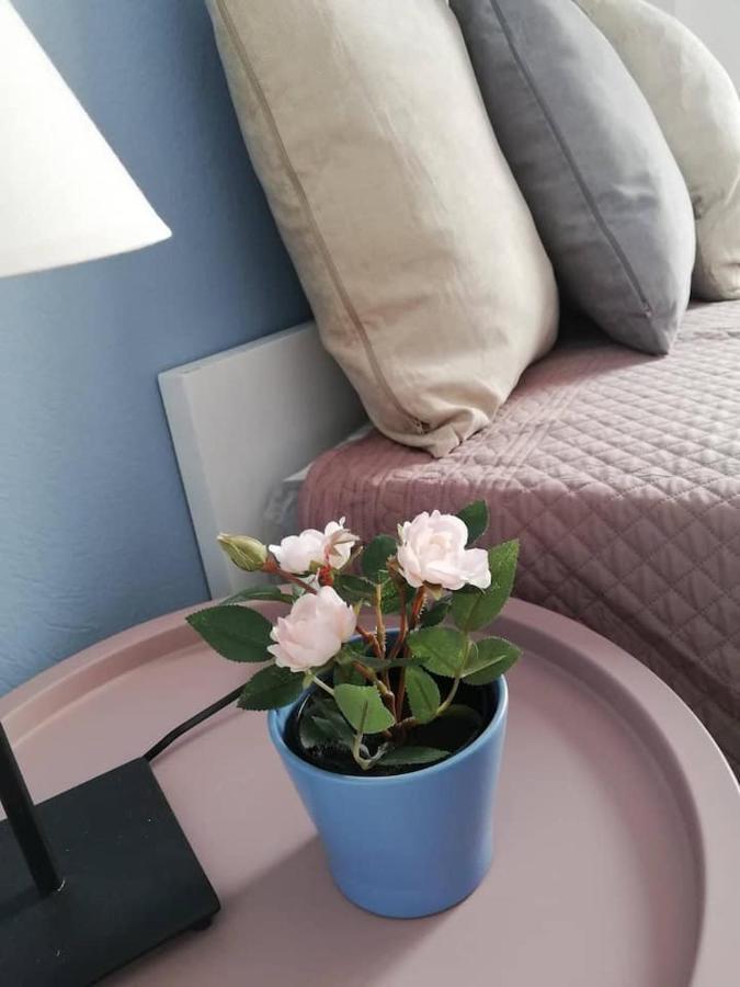The Rose Apartment Волос Екстер'єр фото